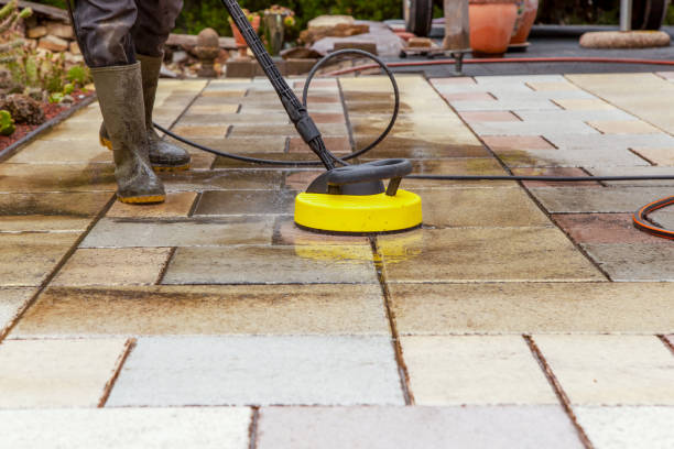 Best Animal Enclosure Cleaning  in Creswell, OR